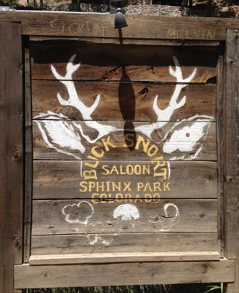 Mile High Vegan Eats: Bucksnort Saloon