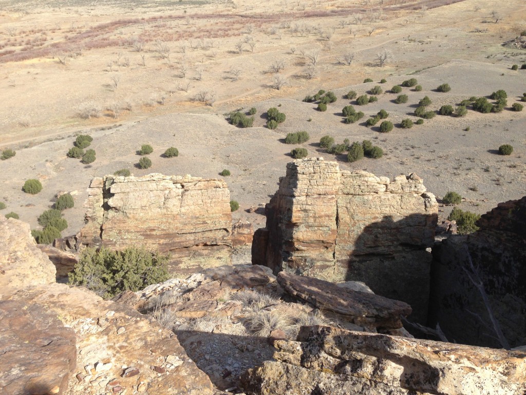 Picketwire Canyon Dinosaur Tracks