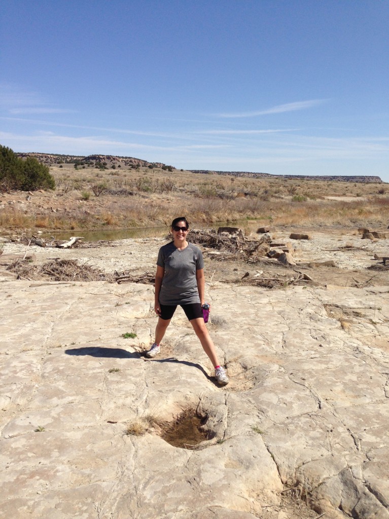 Picketwire Canyon Dinosaur Tracks