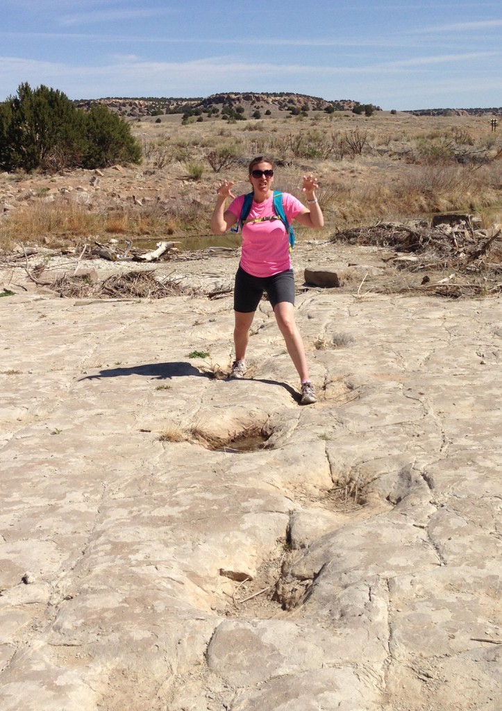 Picketwire Canyon Dinosaur Tracks