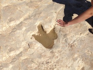 Picketwire Canyon Dinosaur Tracks