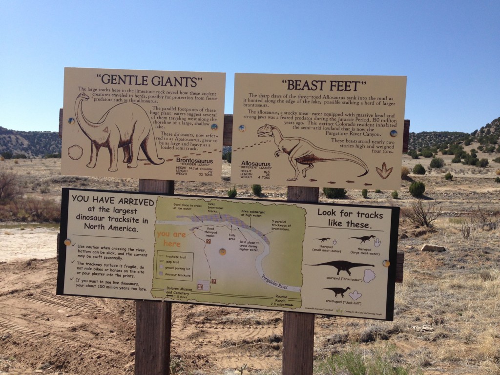 Picketwire Canyon Dinosaur Tracks