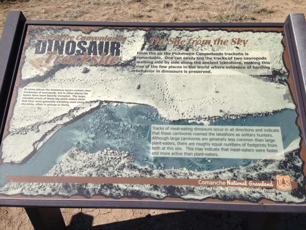 Picketwire Canyon Dinosaur Tracks