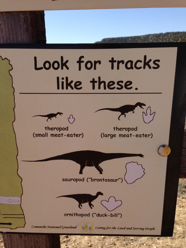 Picketwire Canyon Dinosaur Tracks