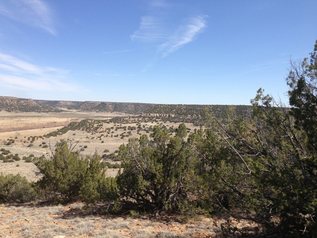 Picketwire Canyon Dinosaur Tracks