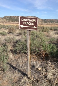 Picketwire Canyon Dinosaur Tracks