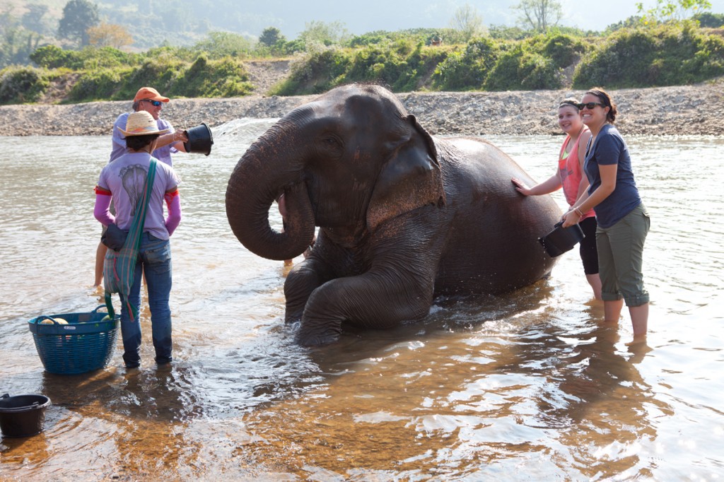 Elephant Nature Park: The Happiest Place on Earth!