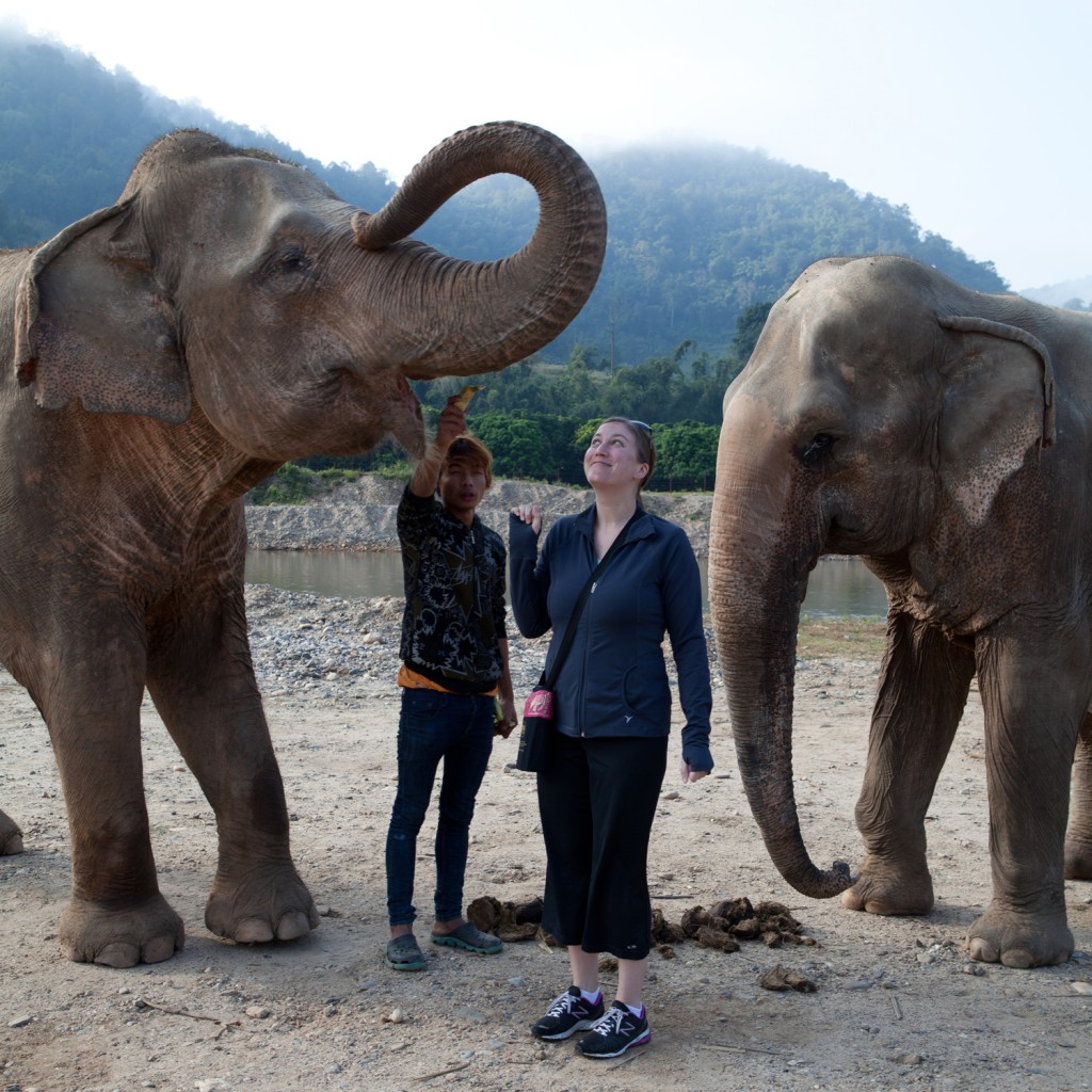 Elephant Nature Park: The Happiest Place on Earth!