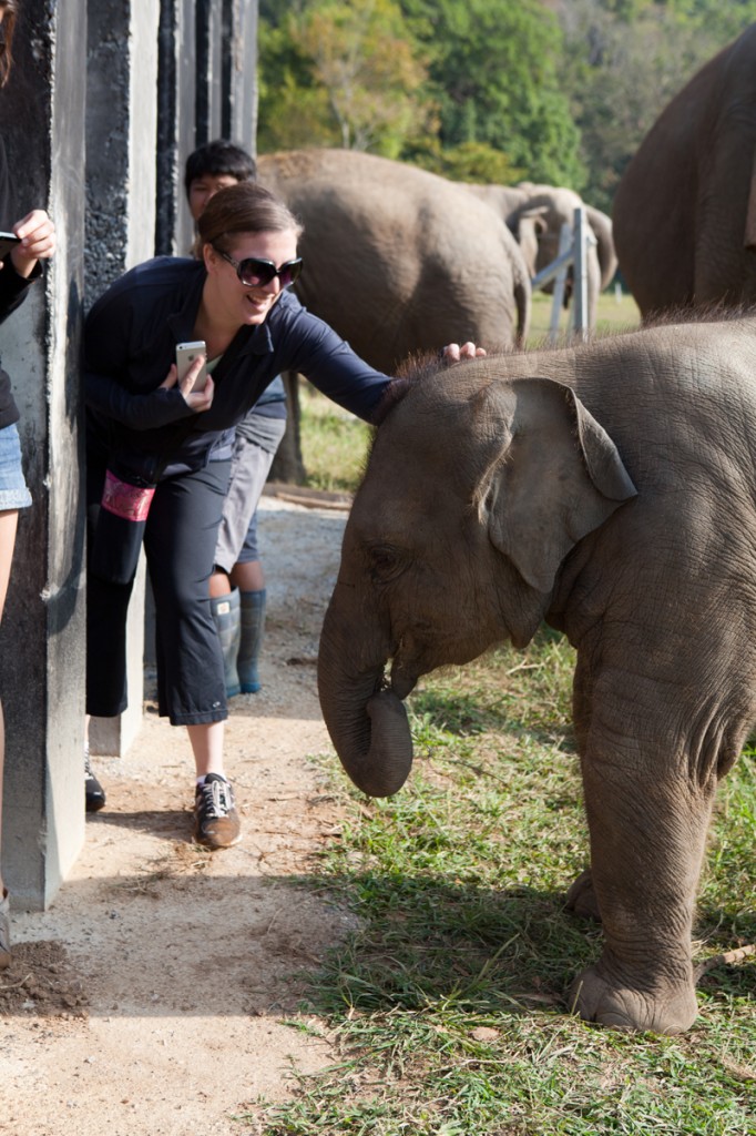 Elephant Nature Park: The Happiest Place on Earth!