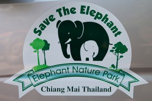 Elephant Nature Park: The Happiest Place on Earth!