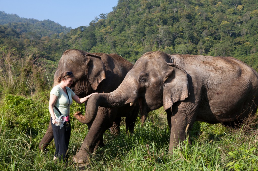 Elephant Nature Park: The Happiest Place on Earth!