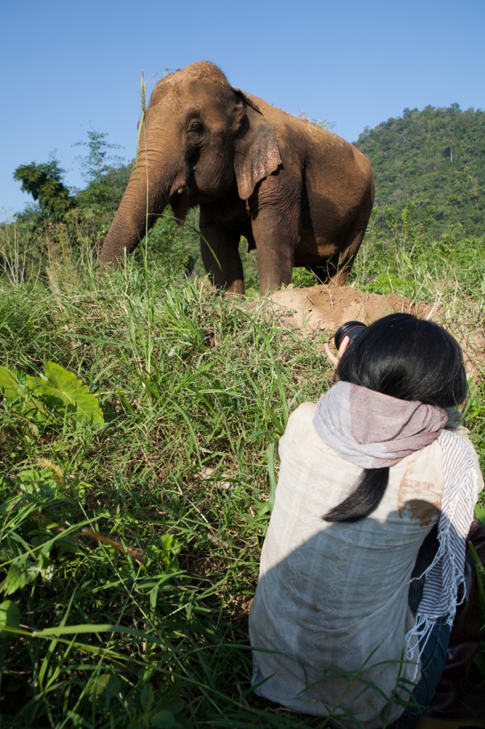 Elephant Nature Park: The Happiest Place on Earth!