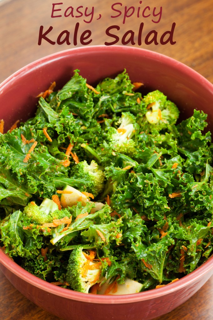 Easy Spicy Kale Salad | www.thatwasvegan.com