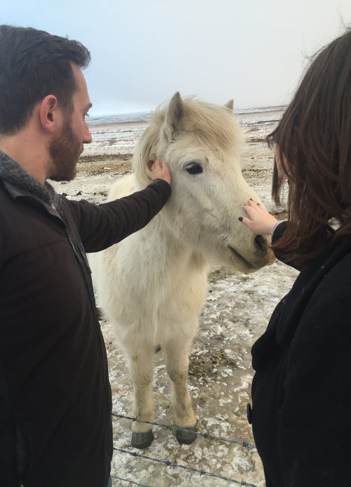 A Little Trip to Iceland... | www.thatwasvegan.com