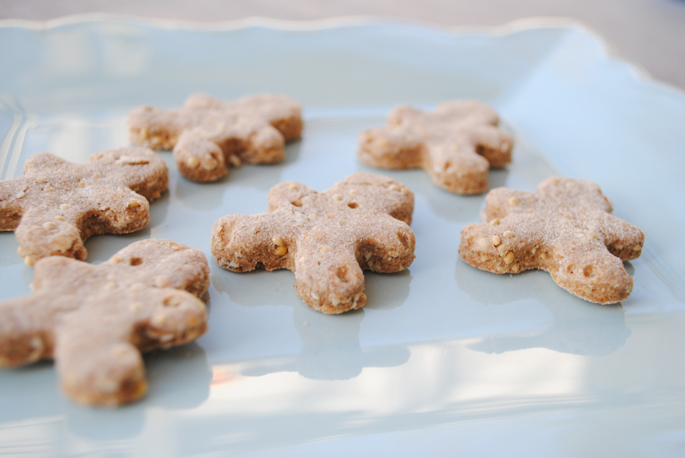 Peanut Butter Coconut Dog Treats | www.thatwasvegan.com