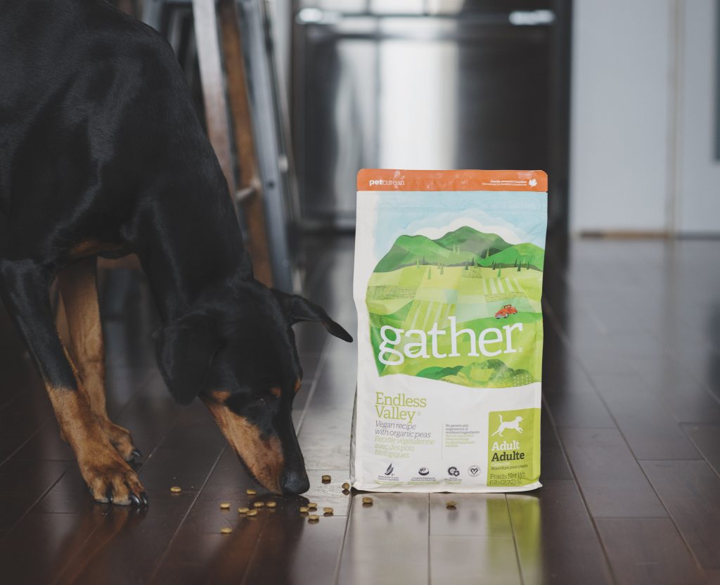 Gather: Organic, vegan pet food 