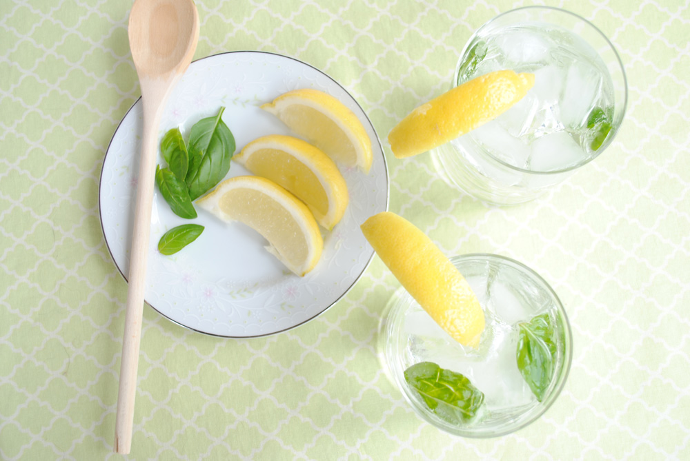 Liquid Sunshine: A Lemony Basil Vodka Cocktail | www.thatwasvegan.com