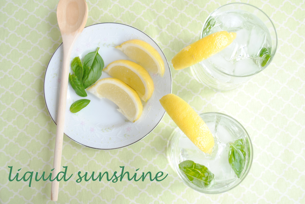 Liquid Sunshine: A Lemony Basil Vodka Cocktail | www.thatwasvegan.com