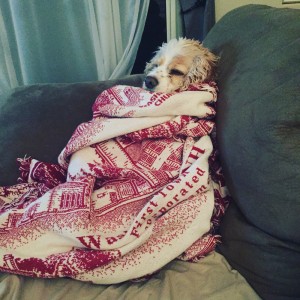 What I Eat When I'm Not Blogging Part 5 | www.thatwasvegan.com