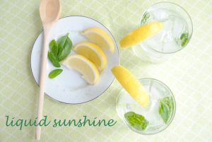 Liquid Sunshine: A Lemony Basil Vodka Cocktail | www.thatwasvegan.com